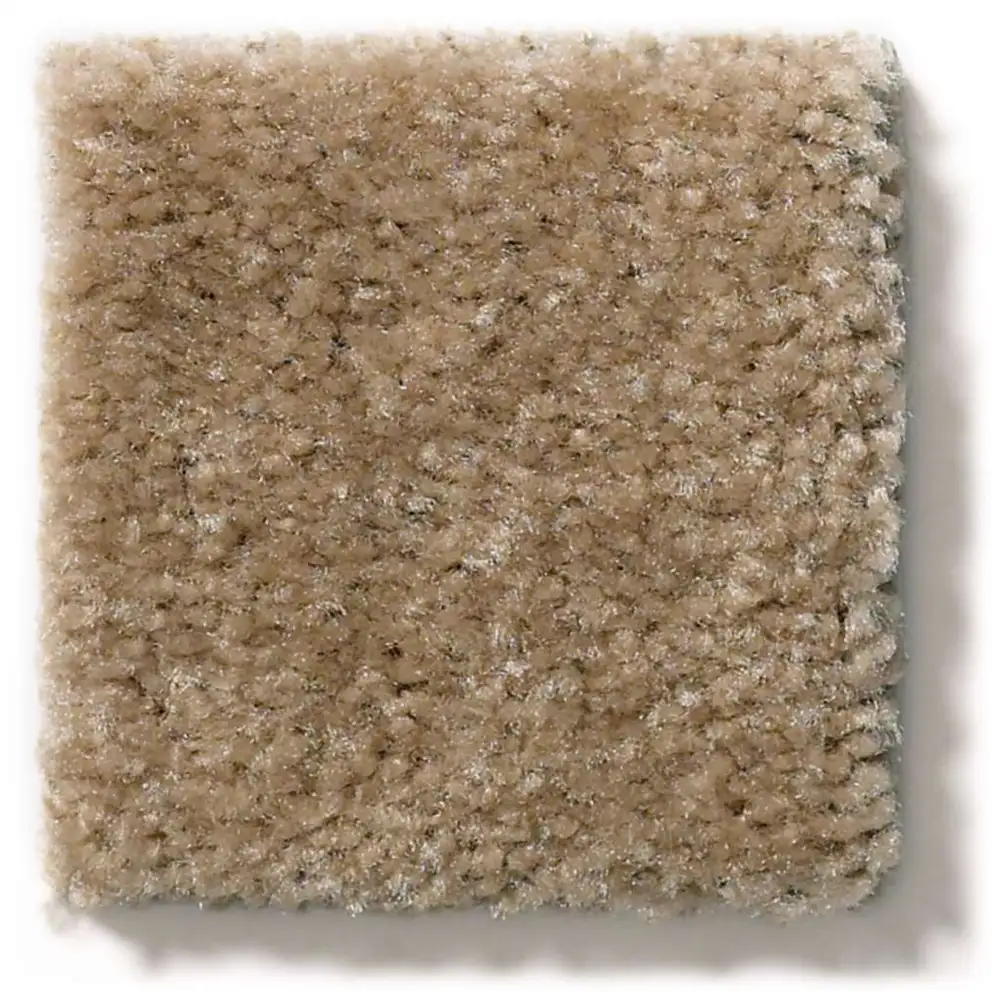 Shaw Heroic 5E287 Residential Carpet