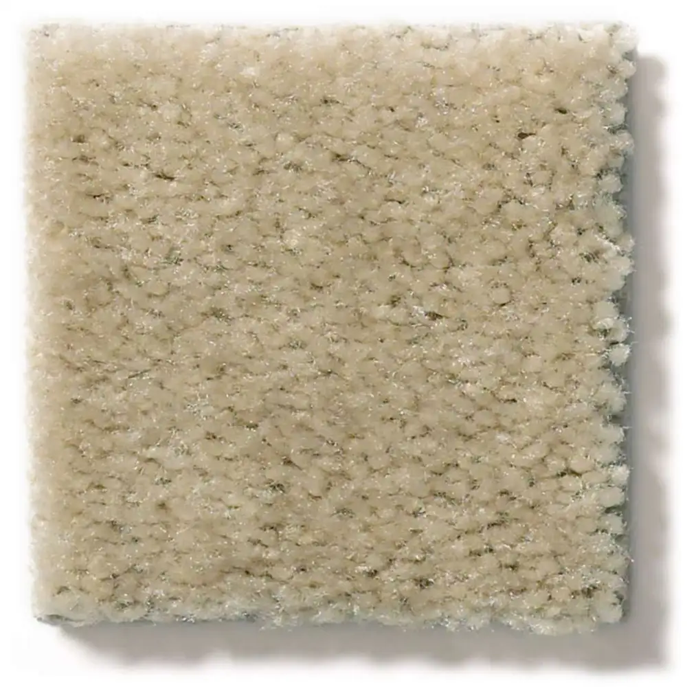 Shaw Heroic 5E287 Residential Carpet